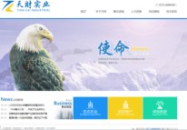 河南天財實業(yè)有限公司網(wǎng)站正式上線