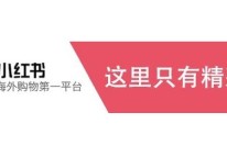 小紅書APP開發(fā)運(yùn)營方案
